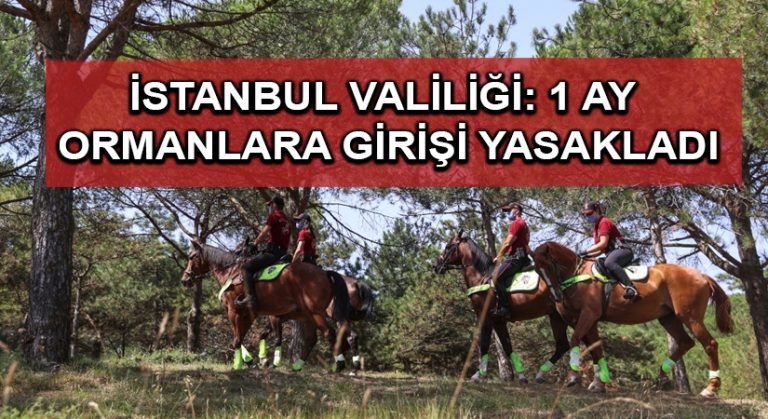 İstanbul Valiliği: 1 ay ormanlara girişi yasakladı