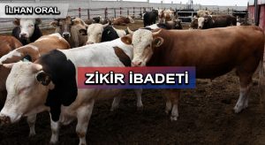 HER MÜMİN, ZİKİRDEN SORUMLU MU?