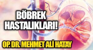 BÖBREK HASTALIKLARI