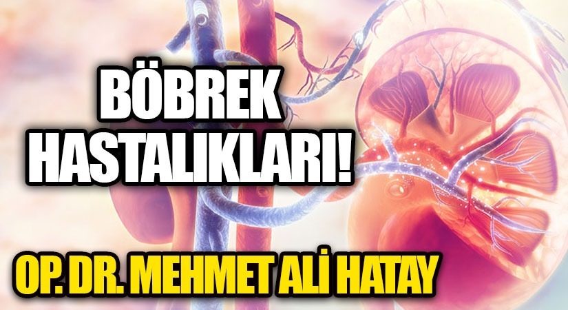 BÖBREK HASTALIKLARI