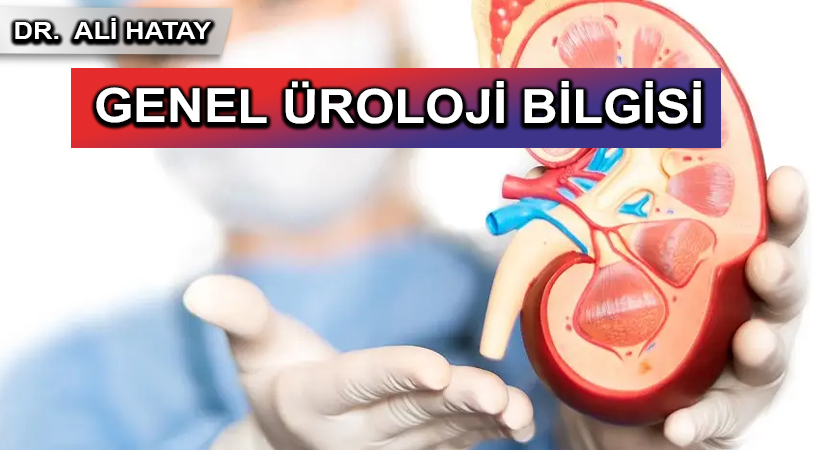 GENEL ÜROLOJİ BİLGİSİ
