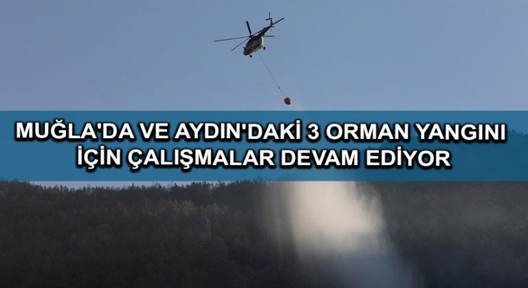 Tarım ve Orman Bakanı Pakdemirli: Muğla’da ve Aydın’daki 3 orman yangını için çalışmalar devam ediyor