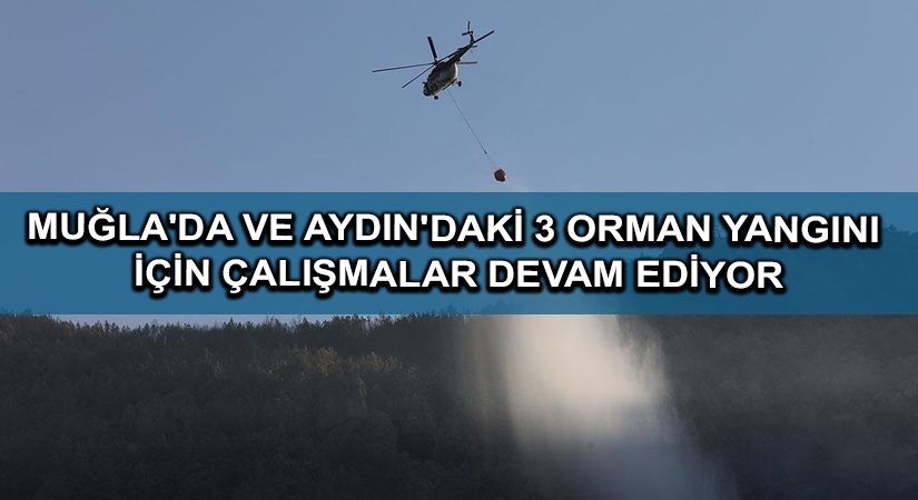 Tarım ve Orman Bakanı Pakdemirli: Muğla’da ve Aydın’daki 3 orman yangını için çalışmalar devam ediyor