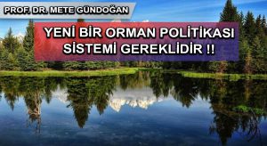 YENİ BİR ORMAN POLİTİKASI SİSTEMİ GEREKLİDİR !!