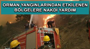 Orman yangınlarından etkilenen bölgelere 72,5 milyon lira nakdi yardım gönderildi