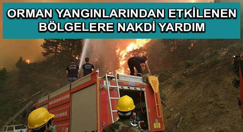Orman yangınlarından etkilenen bölgelere 72,5 milyon lira nakdi yardım gönderildi