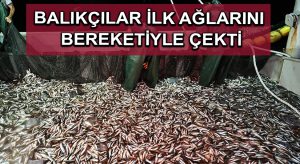 Balıkçılar ilk ağlarını bereketiyle çekti