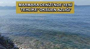 Marmara Denizi’nde yeni tehlike ‘oksijen azlığı’