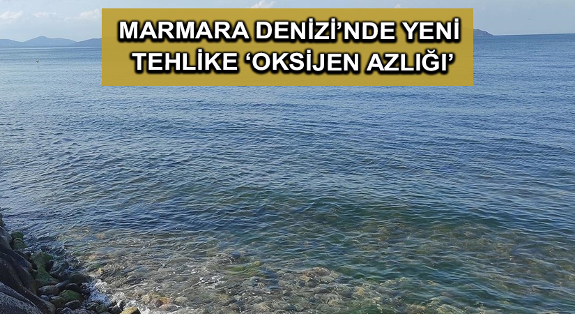 Marmara Denizi’nde yeni tehlike ‘oksijen azlığı’