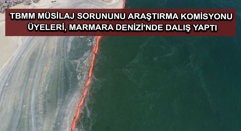 TBMM Müsilaj Sorununu Araştırma Komisyonu üyeleri, Marmara Denizi’nde dalış yaptı