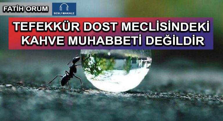 TEFEKKÜR DOST MECLİSİNDEKİ KAHVE MUHABBETİ DEĞİLDİR