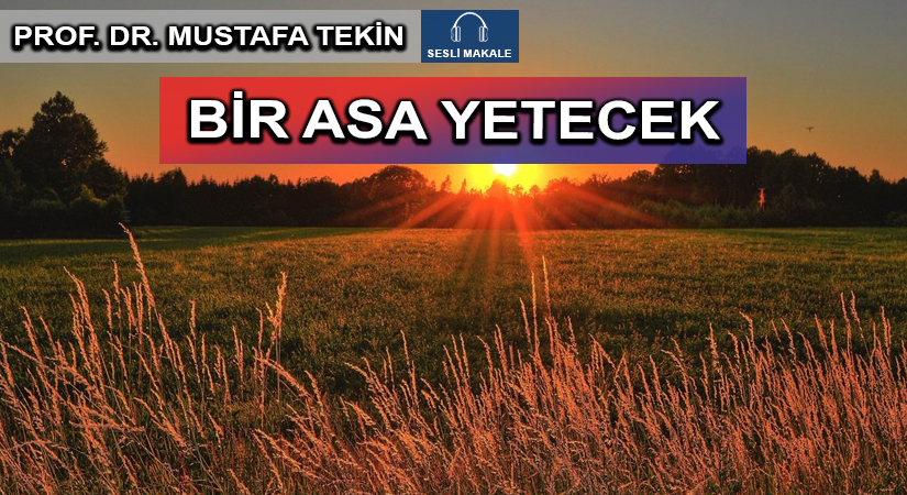 BİR ASA YETECEK