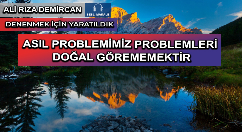 ASIL PROBLEMİMİZ PROBLEMLERİ DOĞAL GÖREMEMEKTİR