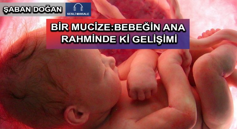 BİR MUCİZE:BEBEĞİN ANA RAHMİNDE Kİ GELİŞİMİ