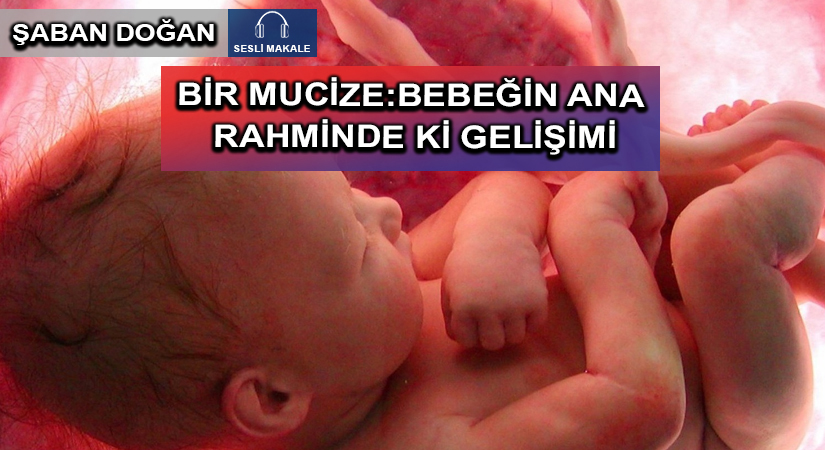 BİR MUCİZE:BEBEĞİN ANA RAHMİNDE Kİ GELİŞİMİ