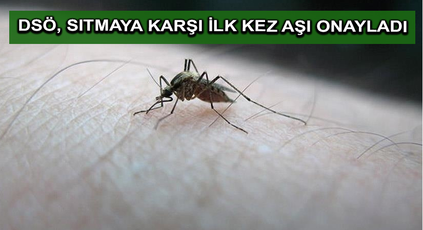 DSÖ, sıtmaya karşı ilk kez aşı onayladı