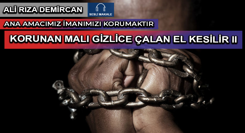 KORUNAN MALI GİZLİCE ÇALAN EL KESİLİR II