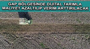 GAP bölgesinde dijital tarımla maliyet azaltılıp verim arttırılacak