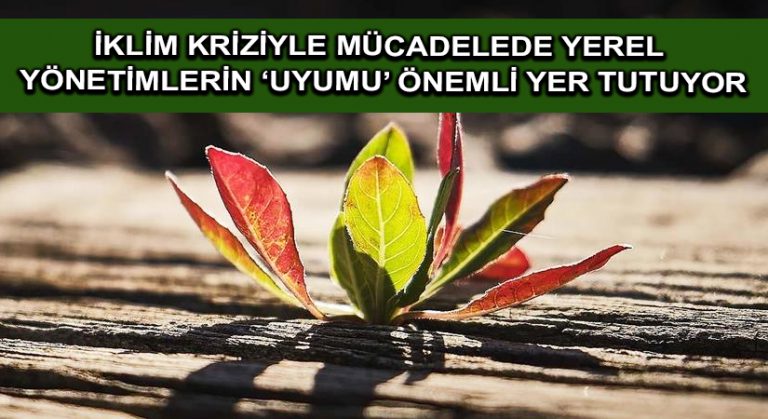 İklim kriziyle mücadelede yerel yönetimlerin ‘uyumu’ önemli yer tutuyor