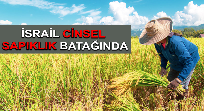 İsrail Cinsel Sapıklık Batağında