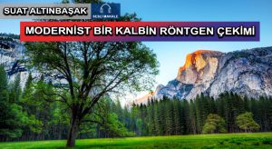 MODERNİST BİR KALBİN RÖNTGEN ÇEKİMİ