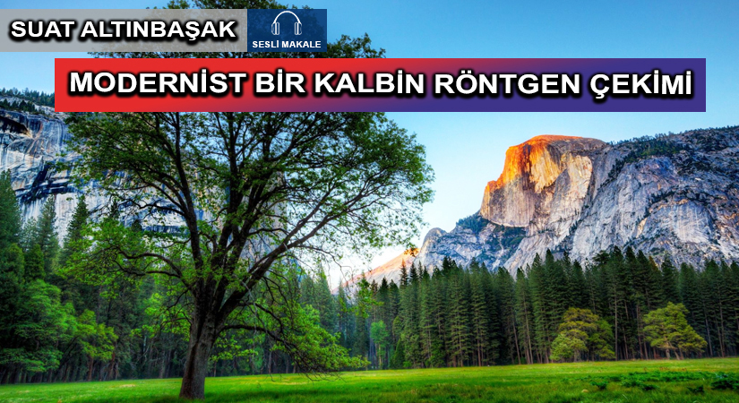 MODERNİST BİR KALBİN RÖNTGEN ÇEKİMİ