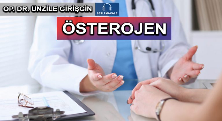 ÖSTEROJEN