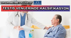 TESTİS VENLERİNDE KALSİFİKASYON