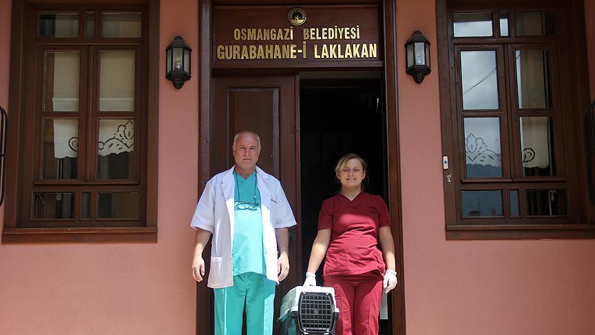 Gurabahane-i Laklakan, sokak hayvanlarına şifa oluyor