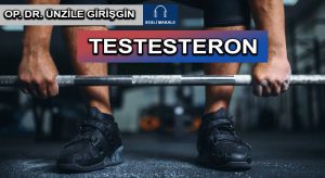 TESTESTERON