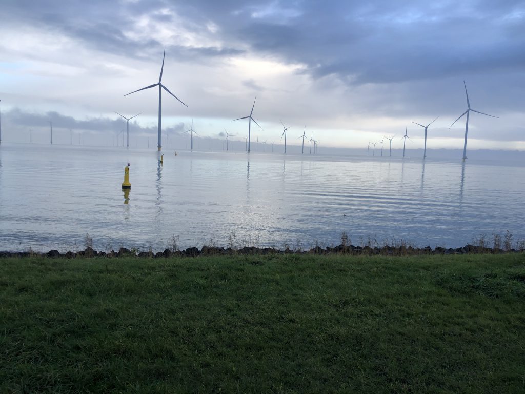 Hollanda yok olma tehlikesi ile karşı karşıya