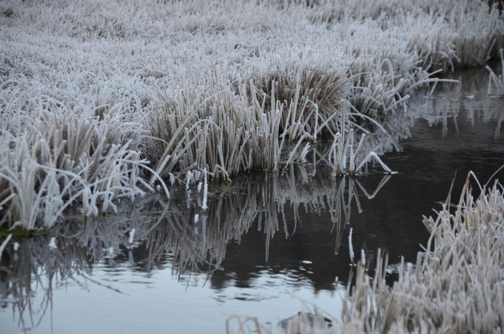 Kars’ta termometreler sıfırın altında 8 dereceyi gösterdi