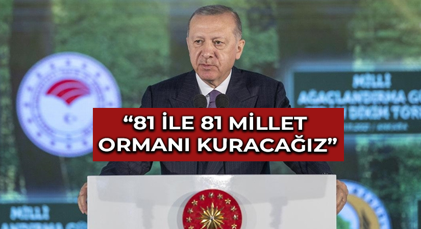 “81 ile 81 Millet Ormanı kuracağız”