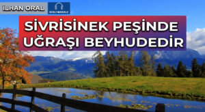 SİVRİSİNEK PEŞİNDE UĞRAŞI BEYHUDEDİR
