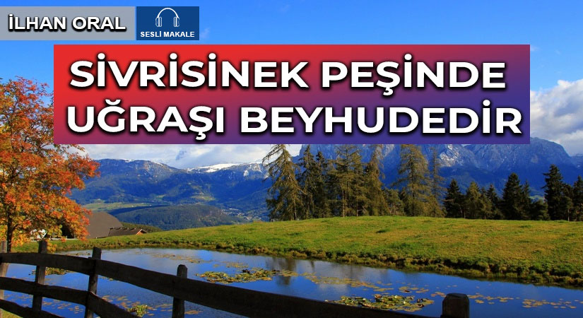 SİVRİSİNEK PEŞİNDE UĞRAŞI BEYHUDEDİR