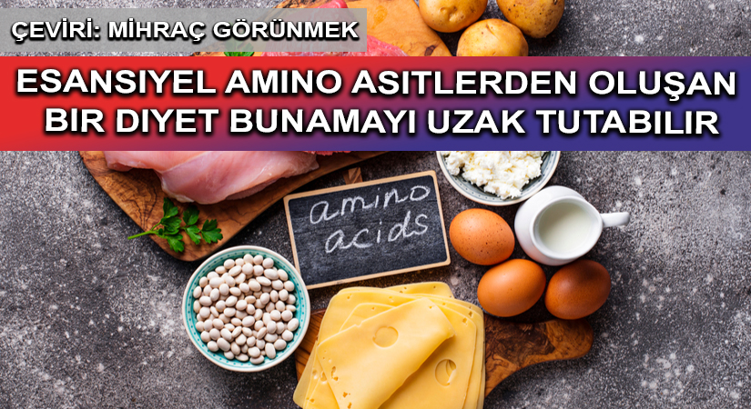 ESANSIYEL AMINO ASITLERDEN OLUŞAN BIR DIYET BUNAMAYI UZAK TUTABILIR