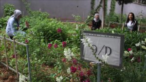 Öğrencilerin biyoloji sevgisini arttırmak için kuruldu