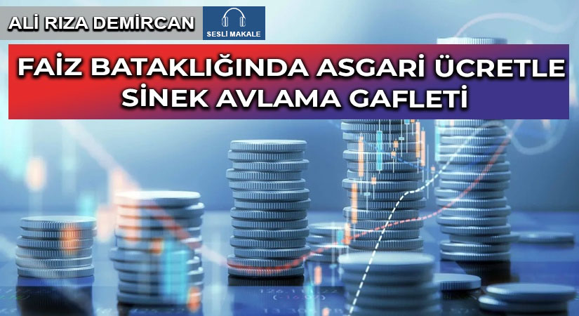 FAİZ BATAKLIĞINDA ASGARİ ÜCRETLE SİNEK AVLAMA GAFLETİ