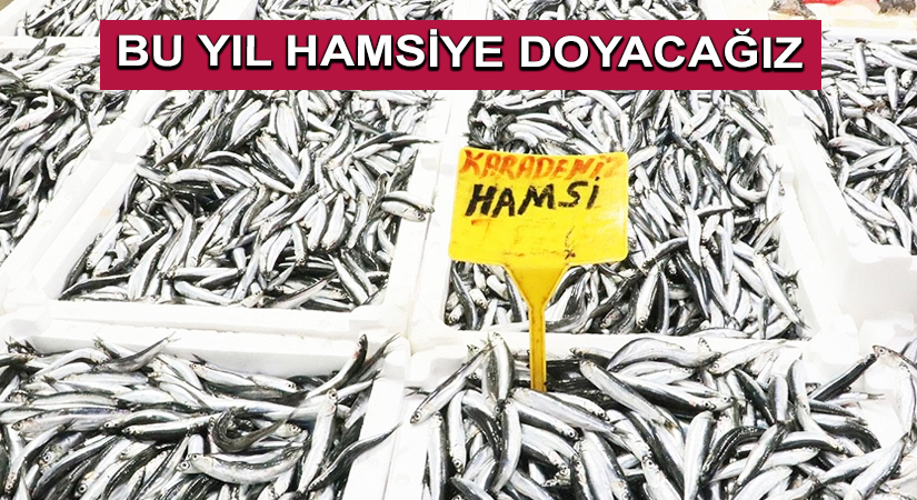 Bu Yıl Hamsiye Doyacağız