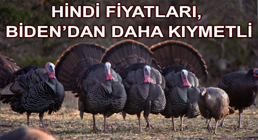 Hindi Fiyatları Uçtu
