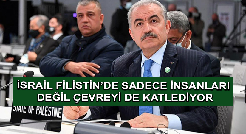 İsrail Filistin’de sadece insanları değil çevreyi de katlediyor