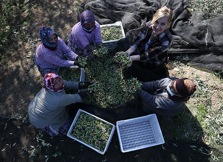 Kadın girişimcinin ödüllü zeytinyağı 3 Kıtaya lezzet katıyor