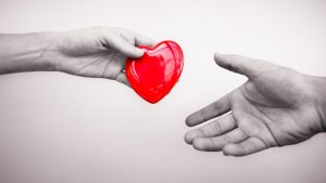 Tek umut organ nakli