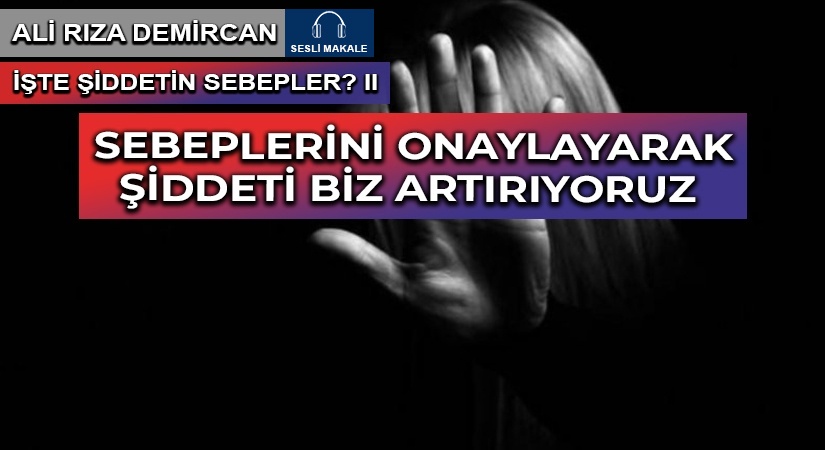SEBEPLERİNİ ONAYLAYARAK ŞİDDETİ BİZ ARTIRIYORUZ | 2