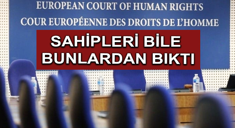 Sahipleri bile bunlardan bıktı