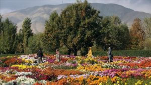 Tahranlılara nefes aldıran mekan: İran Milli Botanik Bahçesi