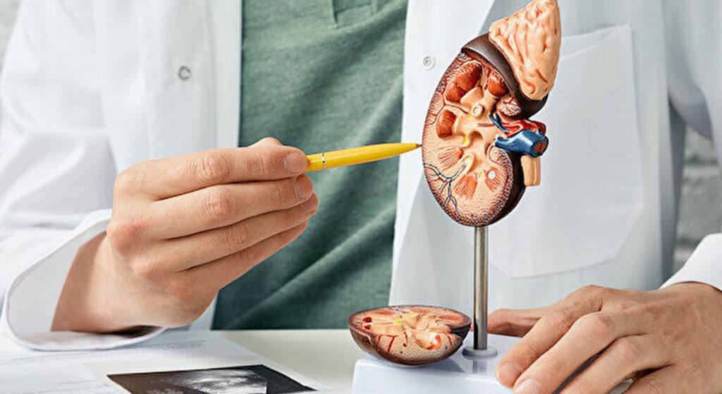 Böbrek Nakli Sonrası ilk Önemli Tedavi İlaç Kullanımı