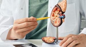 Böbrek Nakli Sonrası ilk Önemli Tedavi İlaç Kullanımı