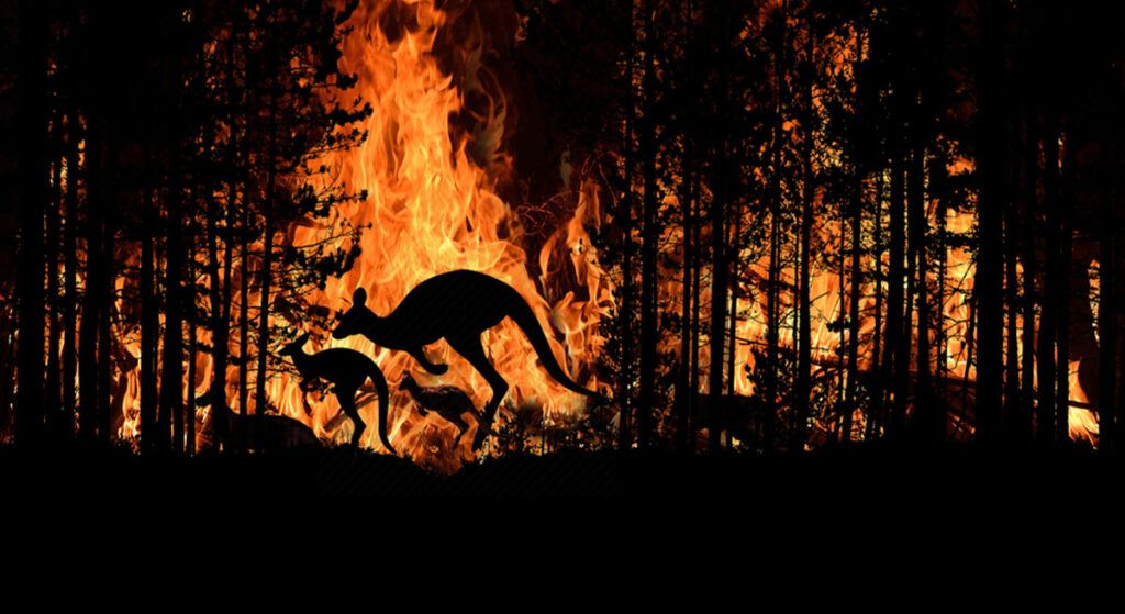 6 bin hektardan fazla ormanlık alan kül oldu