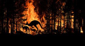 6 bin hektardan fazla ormanlık alan kül oldu